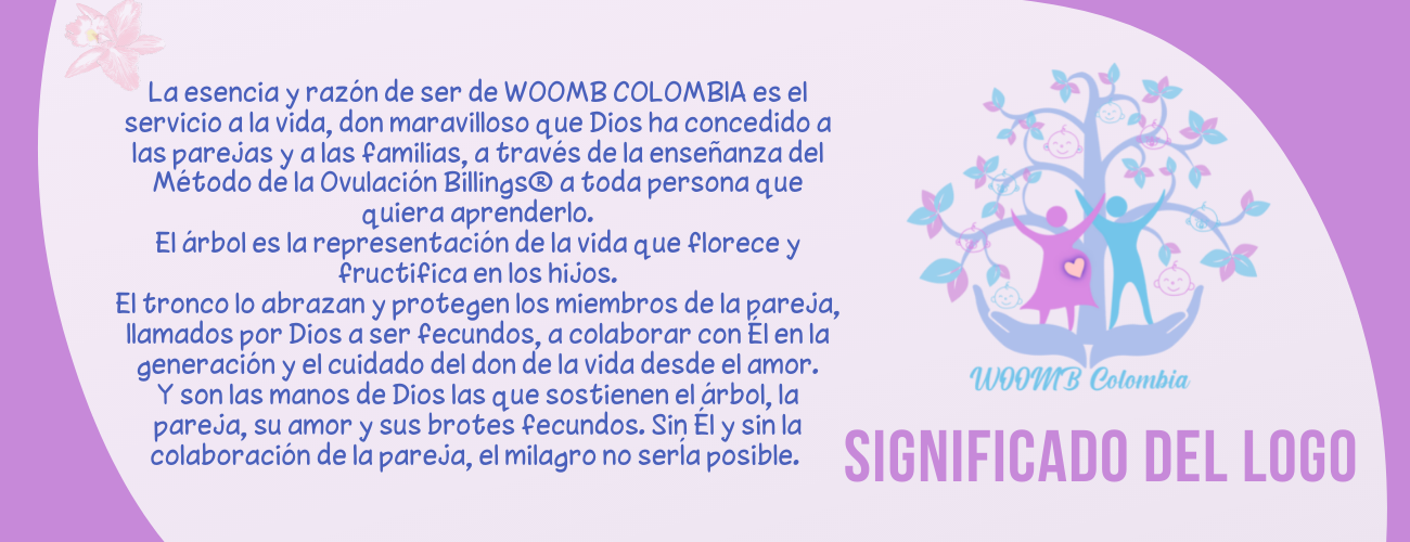 web2